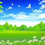 Saturday Afternoon Blessings