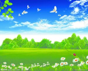 Read more about the article Saturday Afternoon Blessings