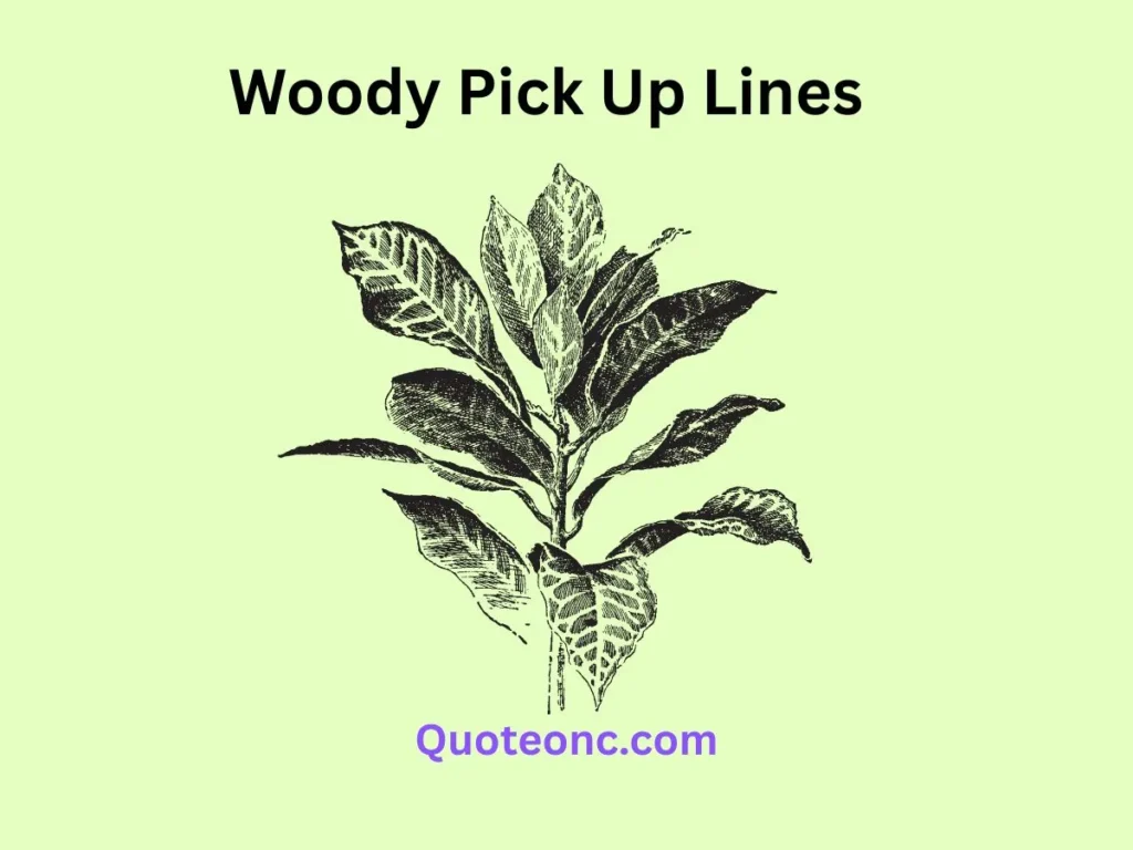 Woody Pick Up Lines