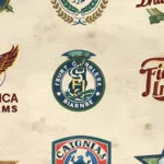 Best Cricket Teams Nicknames