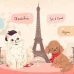French Pet Names