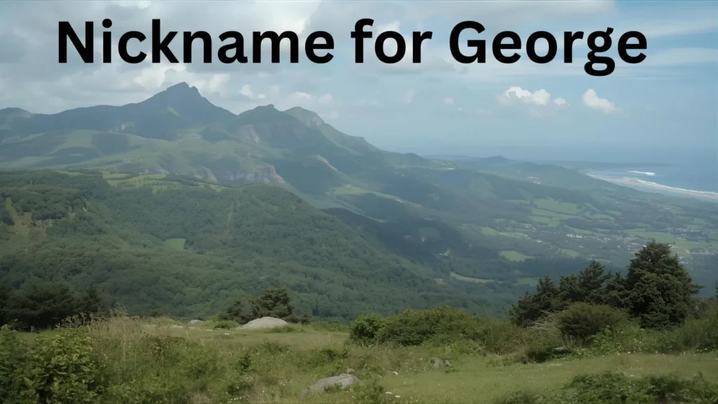 Nickname for George