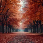 Nicknames for Canada