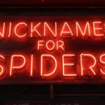 Nicknames for Spiders
